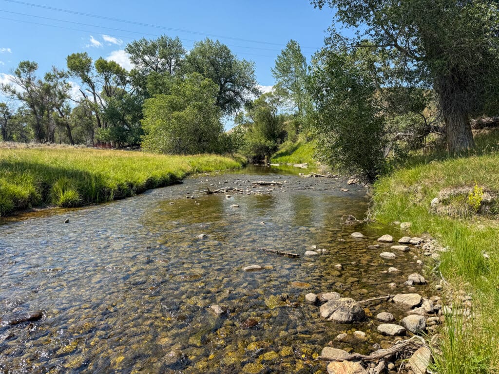 A shallow creek known as Rock Creek, with clear water, flows through grassy banks, scattered rocks, and trees under a bright blue sky.
