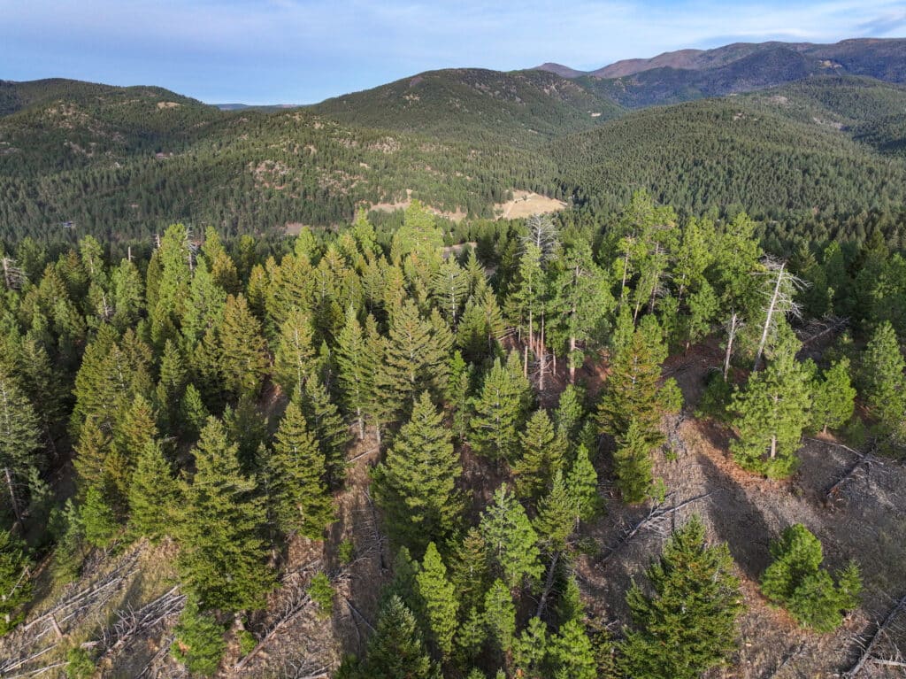 Aerial view of the forested hillside and rolling mountains at the Elkhorn sanctuary.