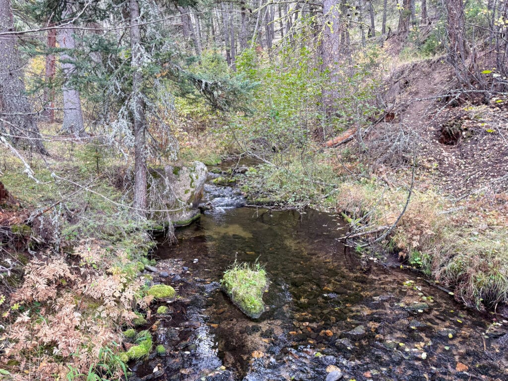 A small, clear stream flows through the Elkhorn sanctuary, winding past mossy rocks and autumn foliage.