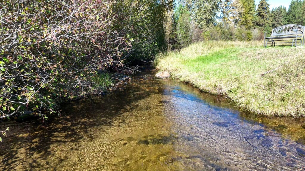 A clear, shallow creek flows through grassy banks at Elkhorn sanctuary, with bushes and trees in the background. Sunlight shines on the water, and a wooden bench sits on the right side near the stream.